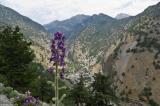 View of the old village of Agia Roumeli (right at the entrance of the gorge of Samaria) from the path leading to the fort. The flower in the foreground is Delphinium staphisagria