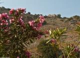 A Turkish fort on a steep hill above the village of Agia Roumeli. The fort is easily accessible on foot (about 30 minutes walk) and provides good views of the village and the coast